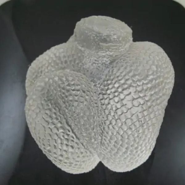 Snake Fossil - SF 72 (Crystal)