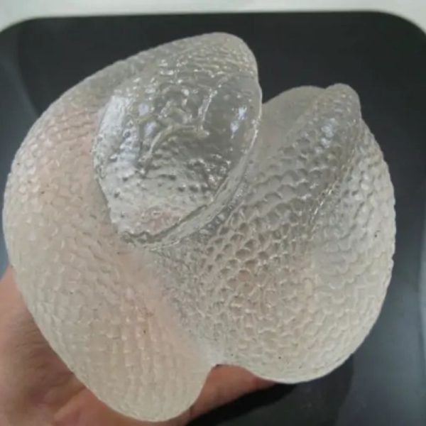 Snake Fossil - SF 73 (Crystal)