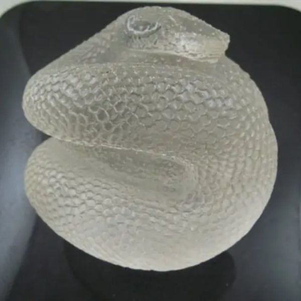 Snake Fossil - SF 73 (Crystal)