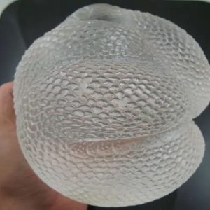 Snake Fossil - SF 74 (Crystal)