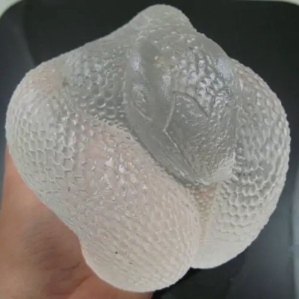 Snake Fossil - SF 74 (Crystal)