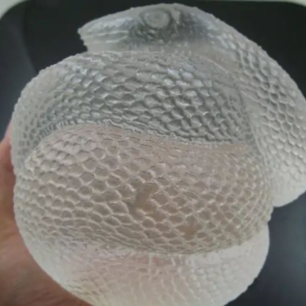 Snake Fossil - SF 74 (Crystal)