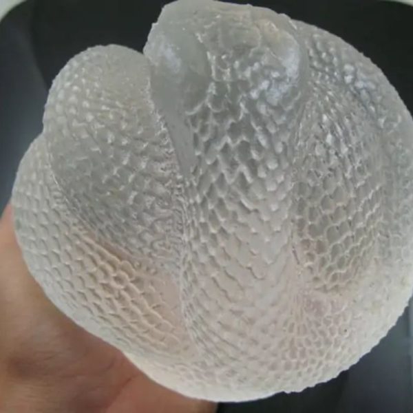 Snake Fossil - SF 74 (Crystal)