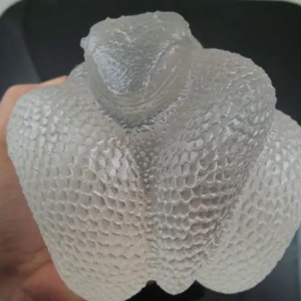 Snake Fossil - SF 74 (Crystal)