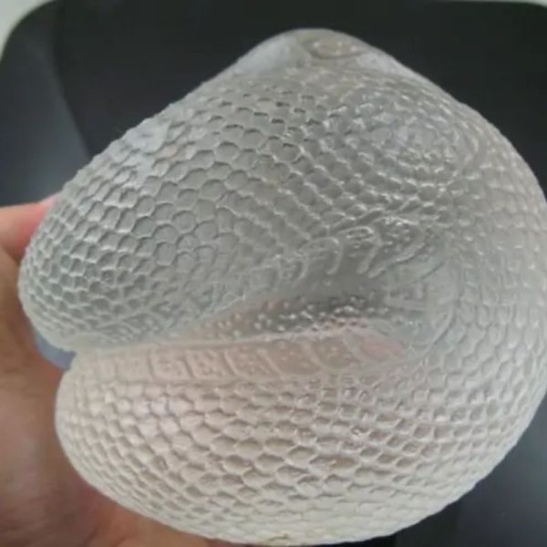 Snake Fossil - SF 74 (Crystal)