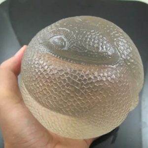 Snake Fossil - SF 76 (Crystal)