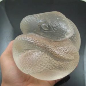 Snake Fossil - SF 77 (Crystal)