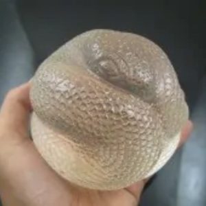 Snake Fossil - SF 80 (Crystal)