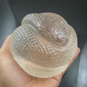 Snake Fossil - SF 81 (Crystal)