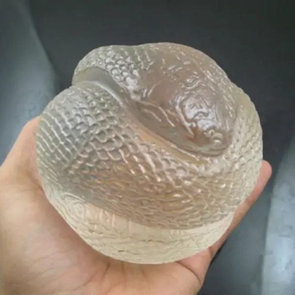 Snake Fossil - SF 81 (Crystal)