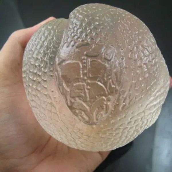 Snake Fossil - SF 81 (Crystal)