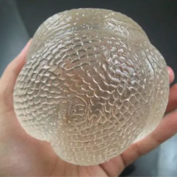 Snake Fossil - SF 81 (Crystal)