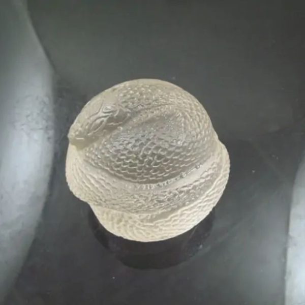 Snake Fossil - SF 81 (Crystal)