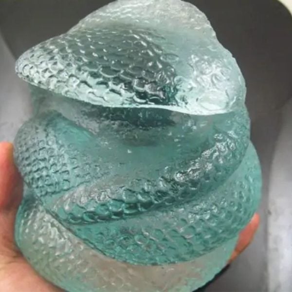 Snake Fossil - SF 85 (Crystal)