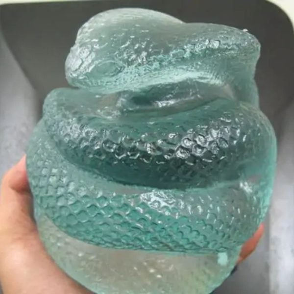 Snake Fossil - SF 85 (Crystal) - Image 2