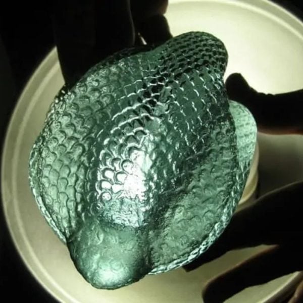 Snake Fossil - SF 85 (Crystal)