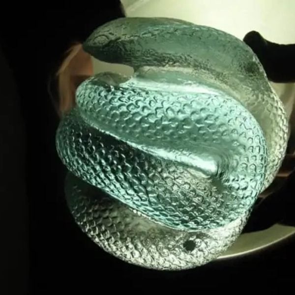 Snake Fossil - SF 85 (Crystal) - Image 6