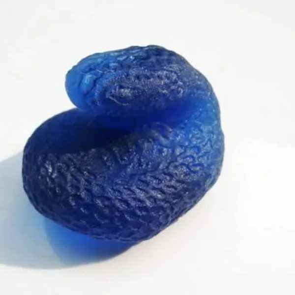 Crystal Snake Fossil - CS1