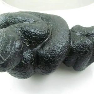Snake Fossil - SF 34