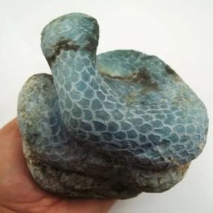 Snake Fossil - SF 13