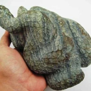 Snake Fossil - SF 12