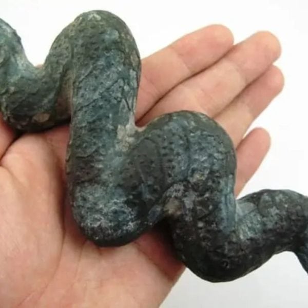 Snake Fossil - SF 3