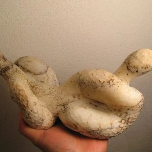 Cobra Siluman Snake Fossils C1