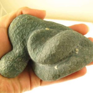 Snake Fossils D2