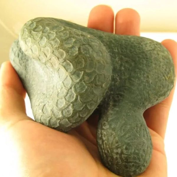 Snake Fossils D2 - Image 3