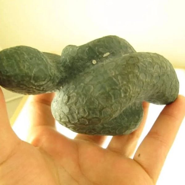 Snake Fossils D2