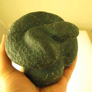 Snake Fossils D9