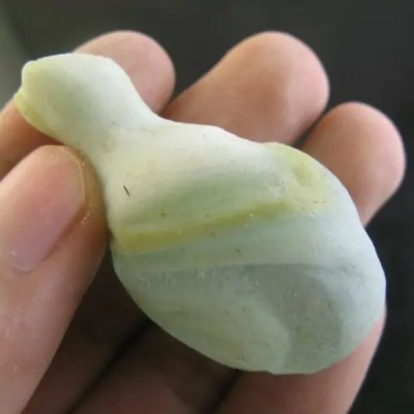 Lizard Pearl - Type L2 (White Giant Lizard)