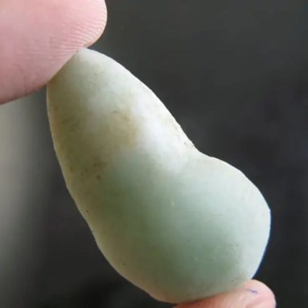 Lizard Pearl - Type L2 (White Giant Lizard)
