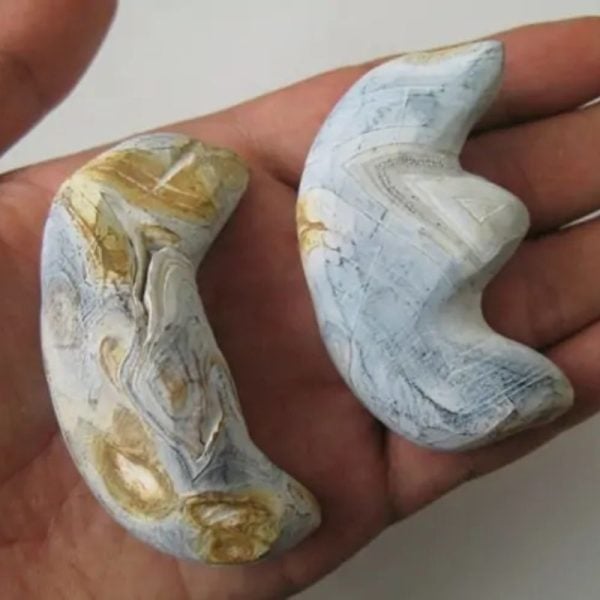 Yellow Lizard Pearl - Type B1