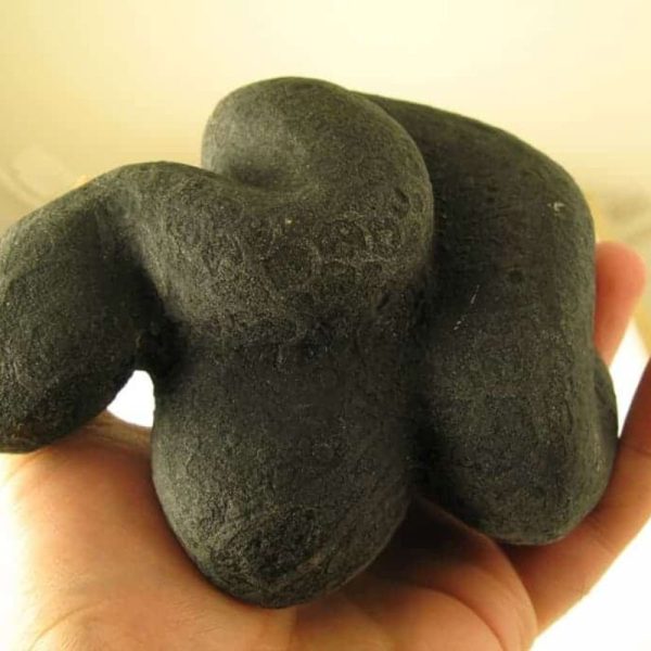 Snake Fossils G1—SOLD