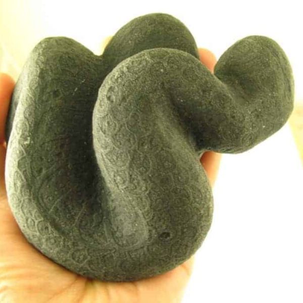 Snake Fossils G1---SOLD - Image 2