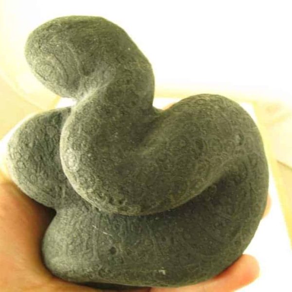 Snake Fossils G1—SOLD