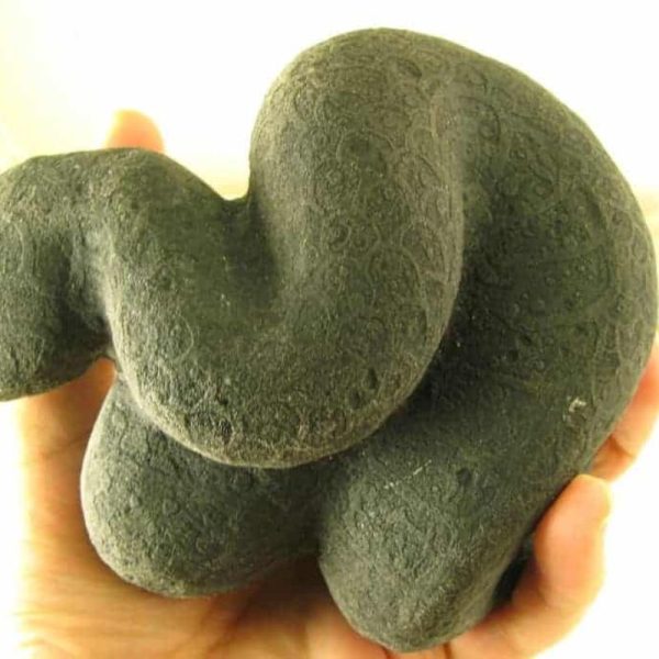 Snake Fossils G1—SOLD