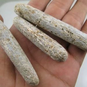 Liwung Wood Fossil - Type D2