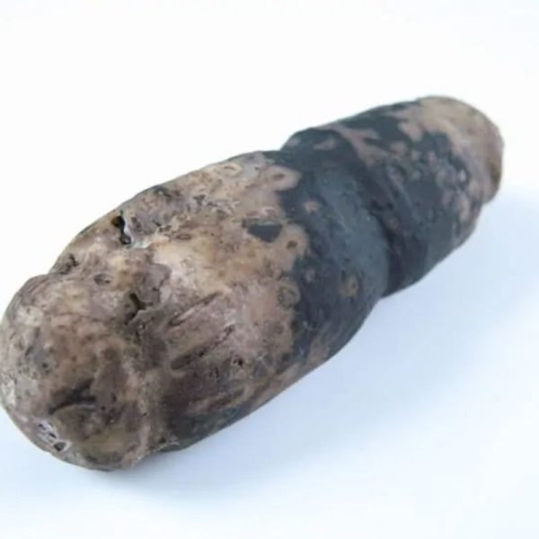 Liwung Wood Pearl - Type A2