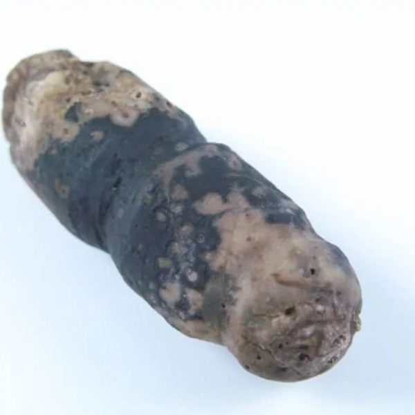 Liwung Wood Pearl - Type A2