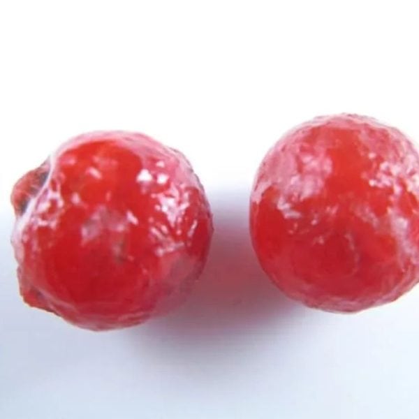 Centipede Pearls - Type M1 - Image 5