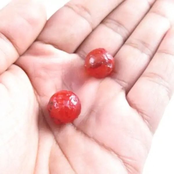 Centipede Pearls - Type M1 - Image 4