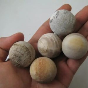 Tiger Gaharu / Agarwood Pearl