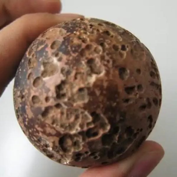 Dewadaru Wood Pearl - Type E1 - Image 3