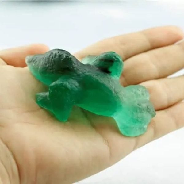 Prehistoric Sea Creatures- Type B8