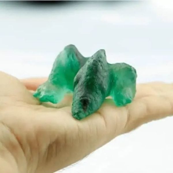 Prehistoric Sea Creatures- Type B8