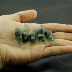 Bamboo Pearls Buluh Perindu -Type C