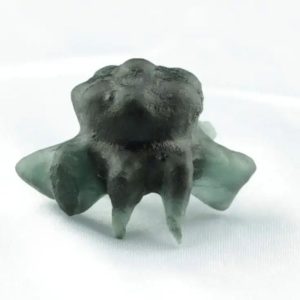 Fossilized Crab Pearl - Type A11
