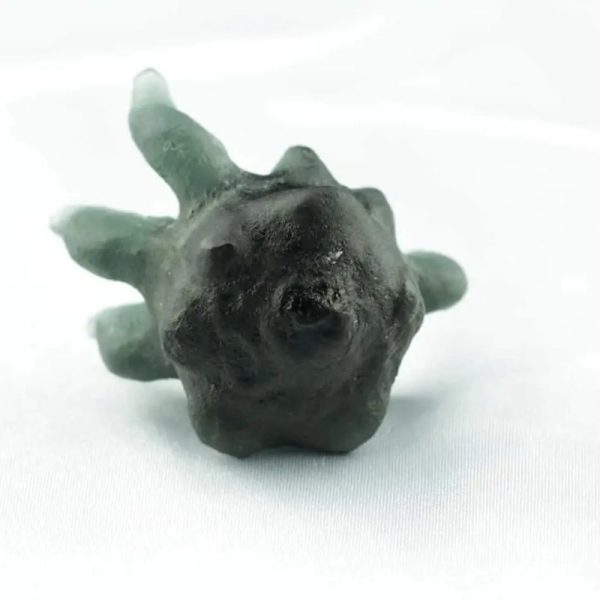 Fossilized Crab Pearl - Type A7 - Image 2